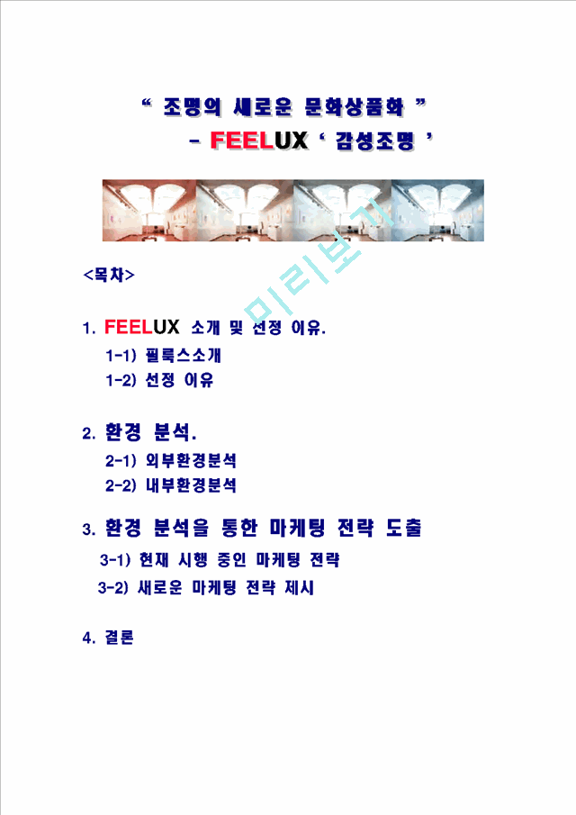 국제마케팅 성공 기업 사례 - FEELUX의 사례와 새로운 전략 제언 레포트   (1 )